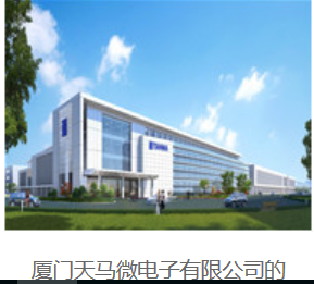 厦门天马微电子有限公司
